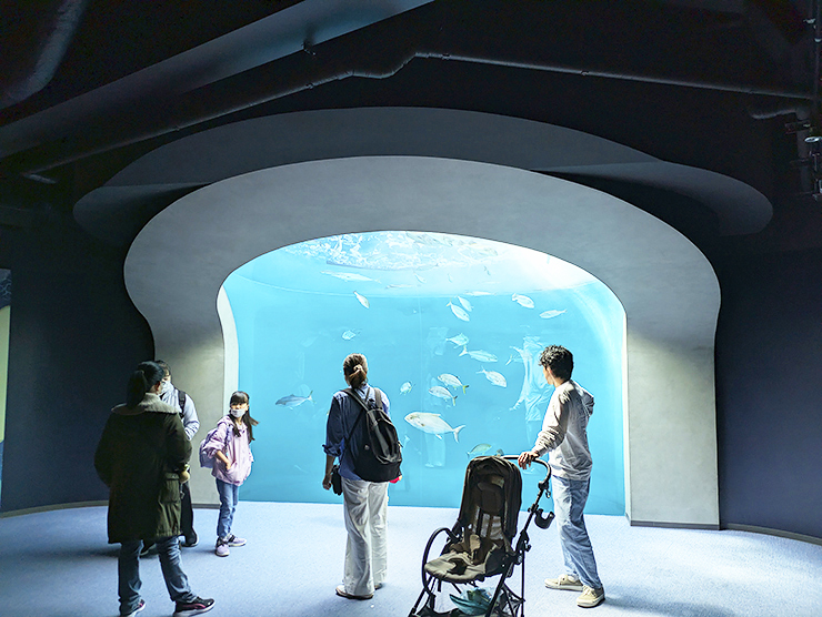 GWのお出かけにもおすすめ!! 四国最大級の四国水族館で子どもも大人も大興奮。 【香川/綾歌郡】