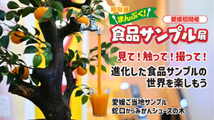 【愛媛県総合科学博物館 特別展 まんぷく！食品サンプル展 愛媛/新居浜市】 愛媛初開催！ 見て・触って・撮って、進化した食品サンプルの世界を楽しもう！