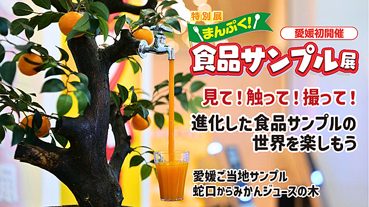 【愛媛県総合科学博物館 特別展 まんぷく！食品サンプル展 愛媛/新居浜市】 愛媛初開催！ 見て・触って・撮って、進化した食品サンプルの世界を楽しもう！