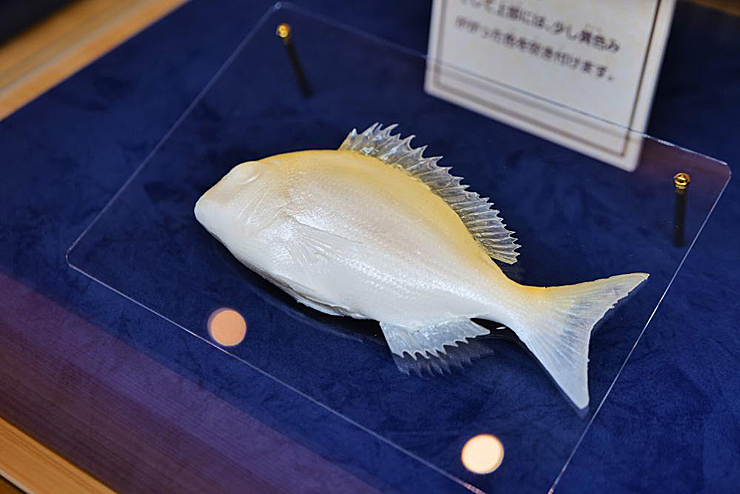 【愛媛県総合科学博物館 特別展 まんぷく！食品サンプル展 愛媛/新居浜市】 愛媛初開催！ 見て・触って・撮って、進化した食品サンプルの世界を楽しもう！