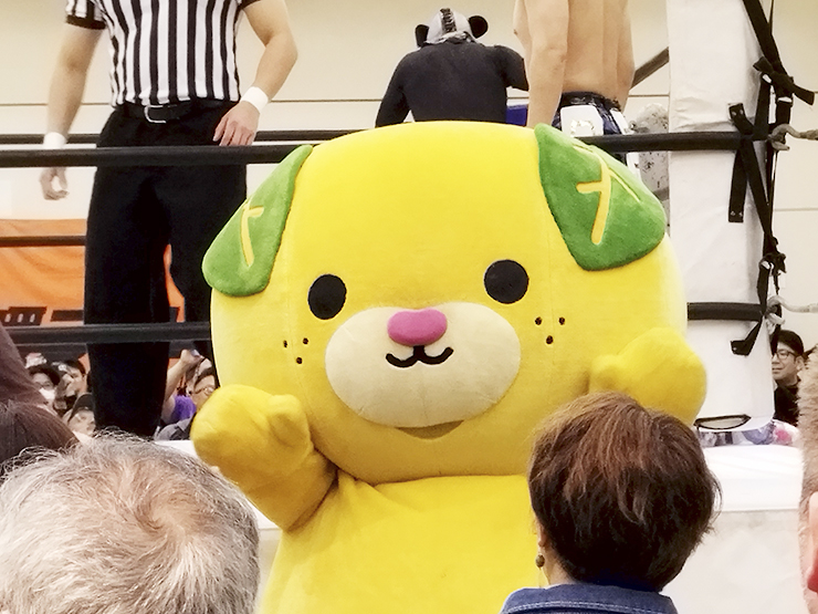 愛媛プロレス2025年初となるビッグマッチ参戦！ 【愛媛/松山市】