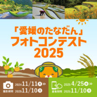 【フォトコン】愛媛の美しい棚田を写真に！「愛媛のたなだんフォトコンテスト」開催中