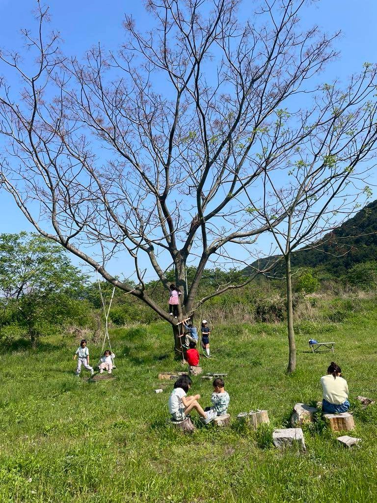 えひめ自然保育連盟_活動の様子