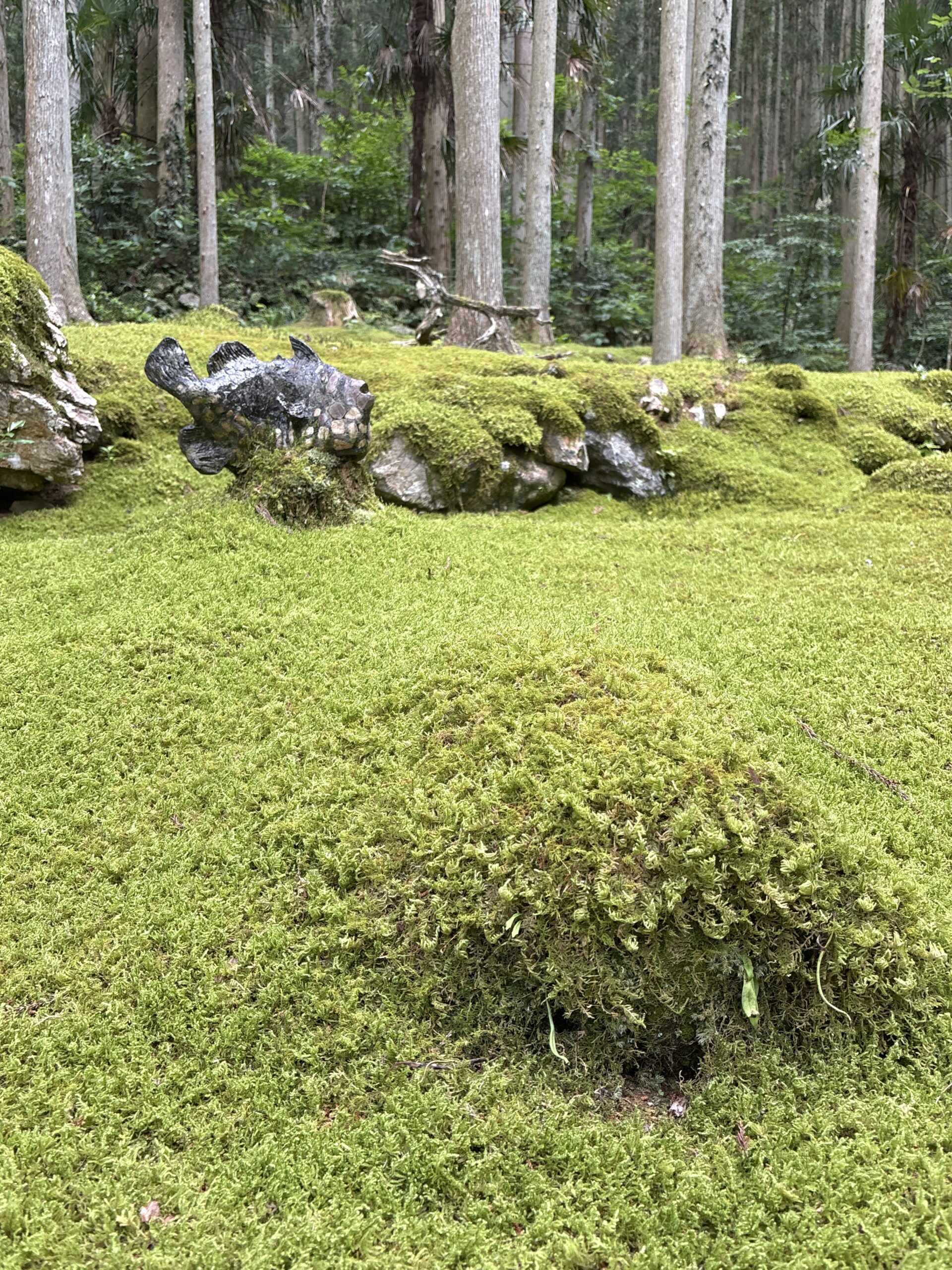 魚のオブジェと苔筵の庭園の様子
