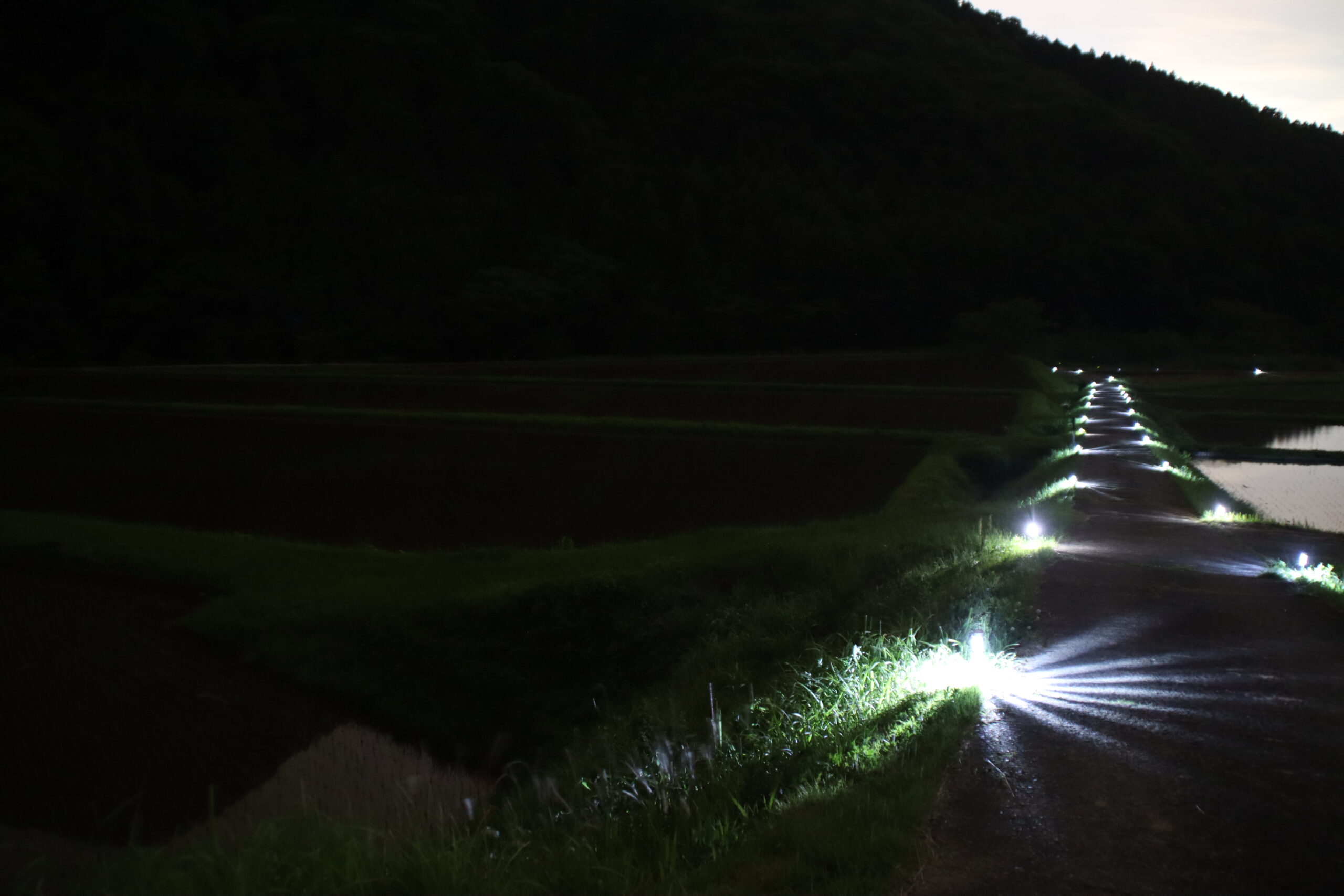 東温市 雨滝ほたるの里。観賞スポットまでの道のり