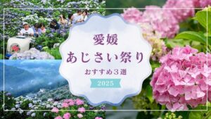 【2025年版】愛媛のあじさい祭り・名所3選｜見頃やアクセス情報もご紹介！