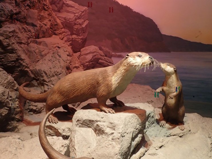 20250712_kawauso_101