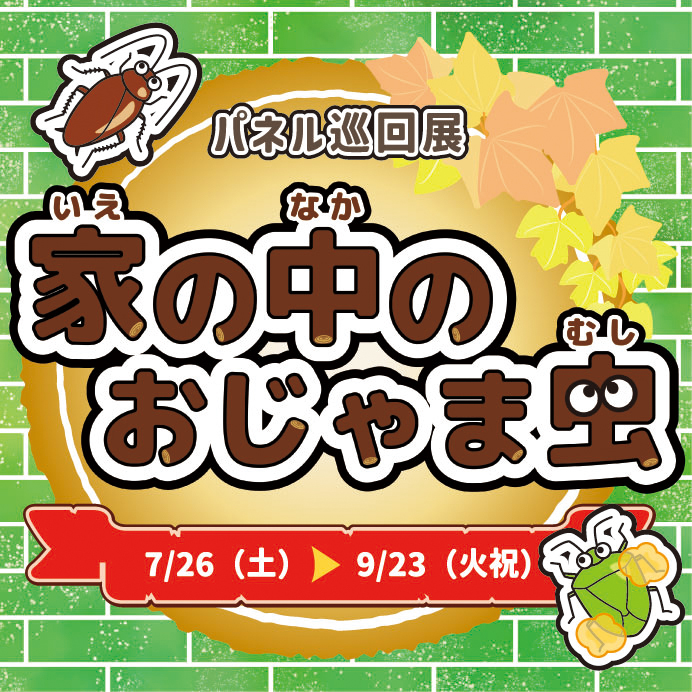 おじゃま虫_サムネイル