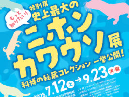 今ここで明かされる、消えたカワウソの真実！特別展「もっと知りたい！史上最大のニホンカワウソ展」