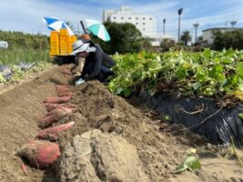 徳島・鳴門で「半農半X」な暮らしを体験！おてつだいで旅する「おてつたび」がアツい！