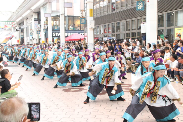 高知よさこい祭り
