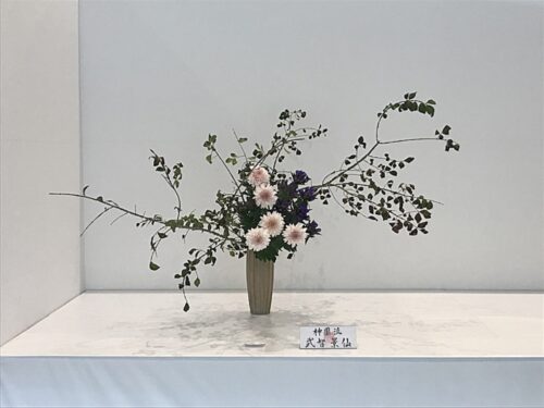 image-53-500x375.jpg