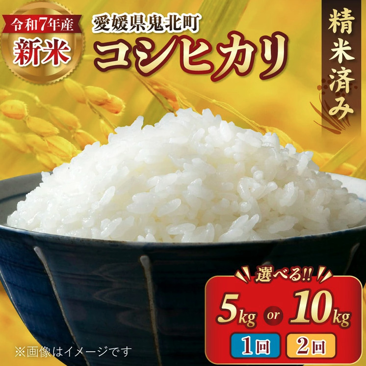 【R7年産新米】愛媛県産 コシヒカリ