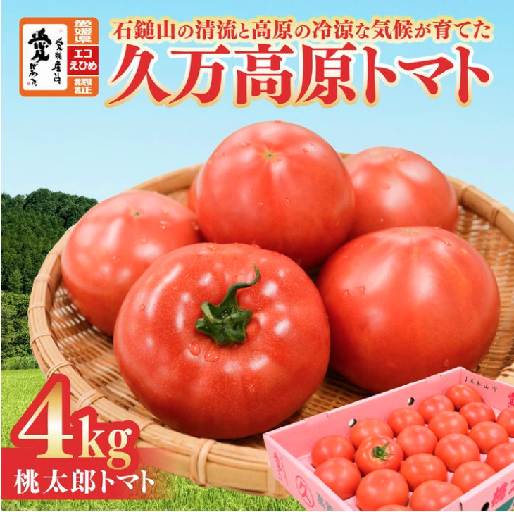 久万高原トマト