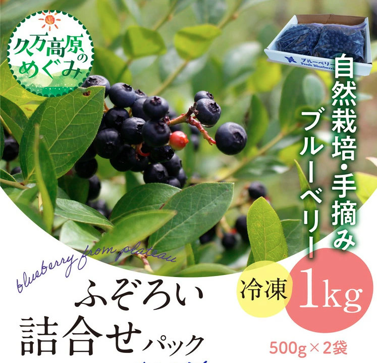 冷凍 ブルーベリー