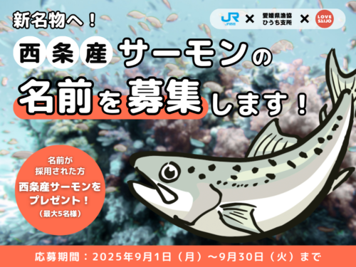 【賞品はサーモン1匹！】西条市の新名物「西条産サーモン」のネーミング大募集！あなたの名前が歴史に刻まれるかも？