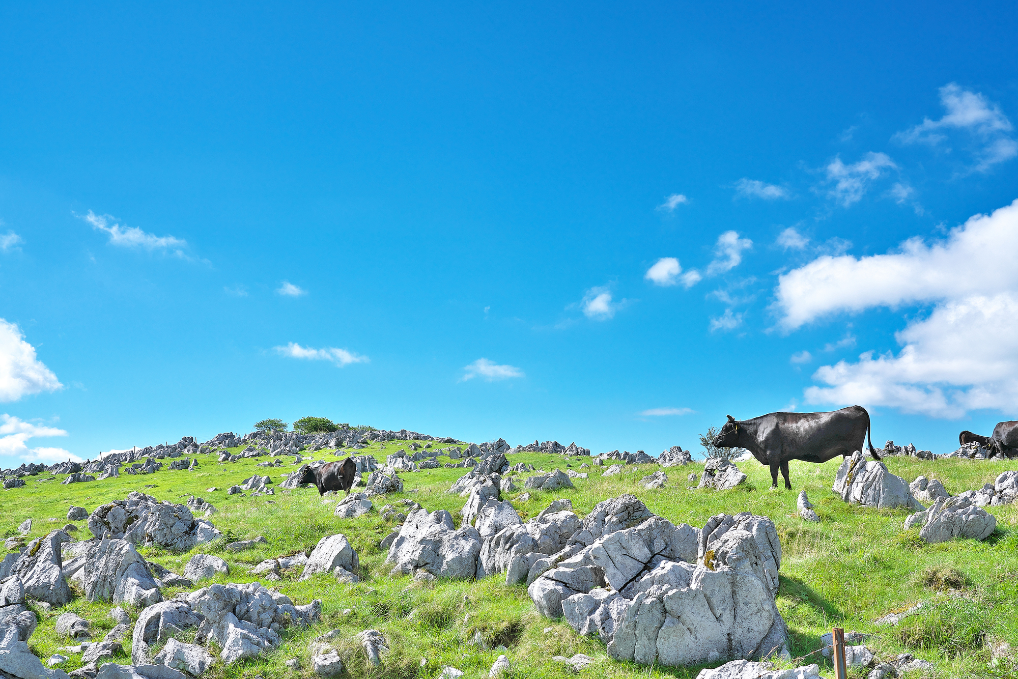 四国カルストでデジタルスタンプラリー開催！「巡ってもらえるデジタル