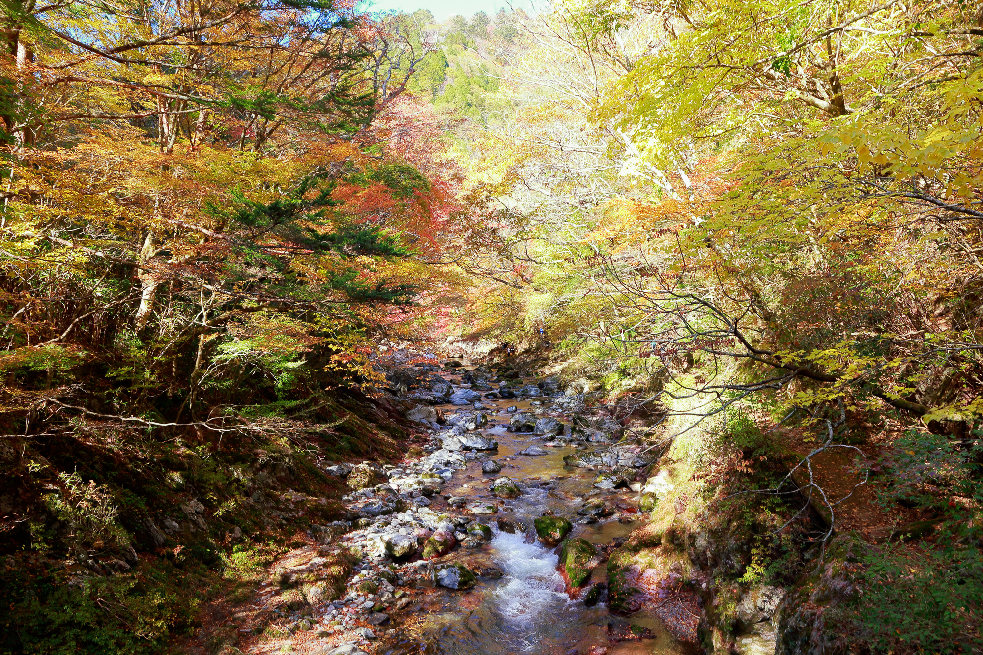 小田深山渓谷