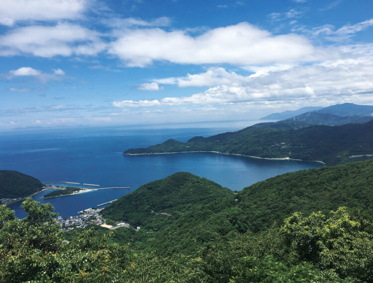 権現山展望台