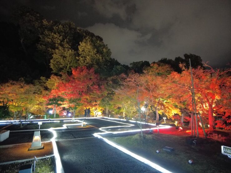 二之丸 光の庭園