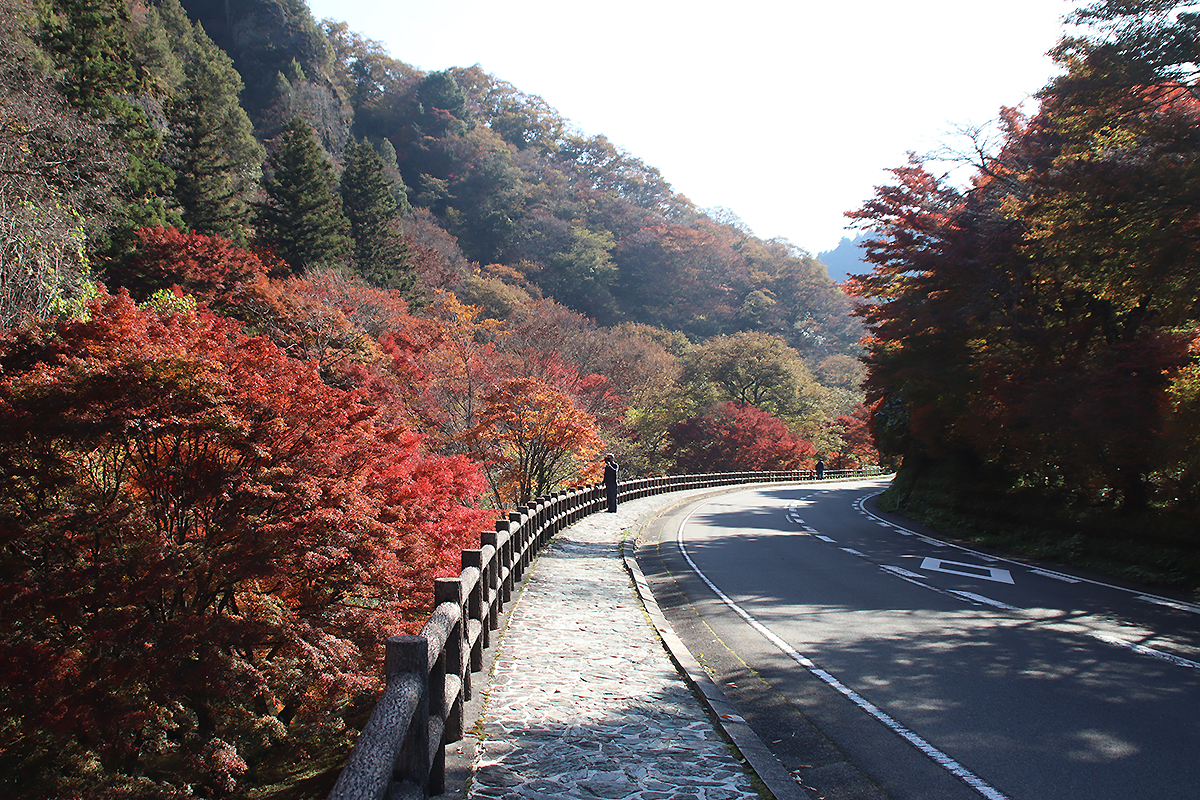 古岩屋の紅葉写真　2025年11月15日　午前中に撮影