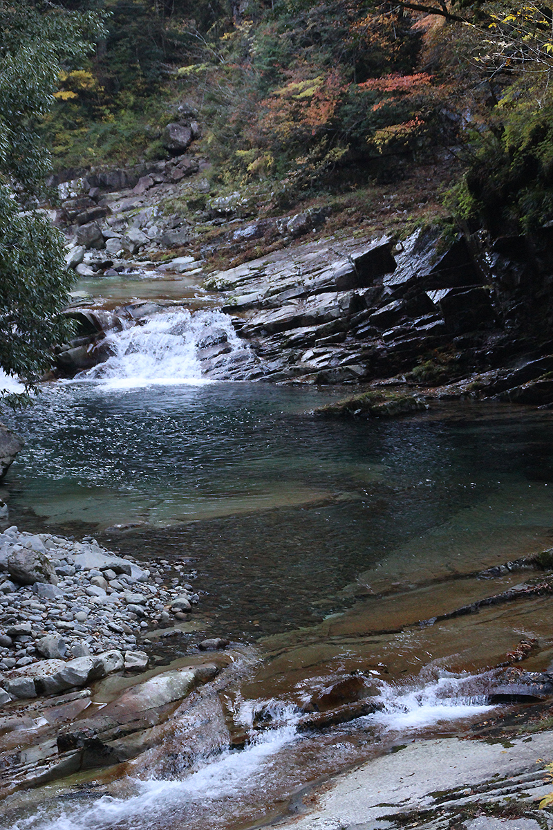 面河渓の紅葉写真　2025年11月15日　午前中に撮影