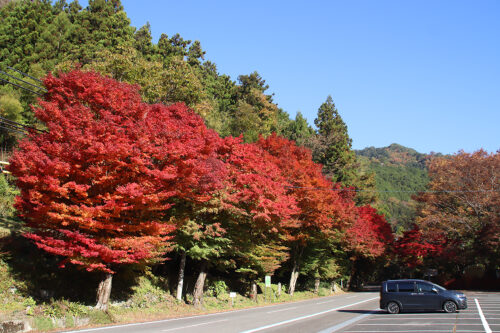 【体験レポ】久万高原 紅葉ドライブ！面河渓から見頃を迎えた古岩屋まで絶景めぐり