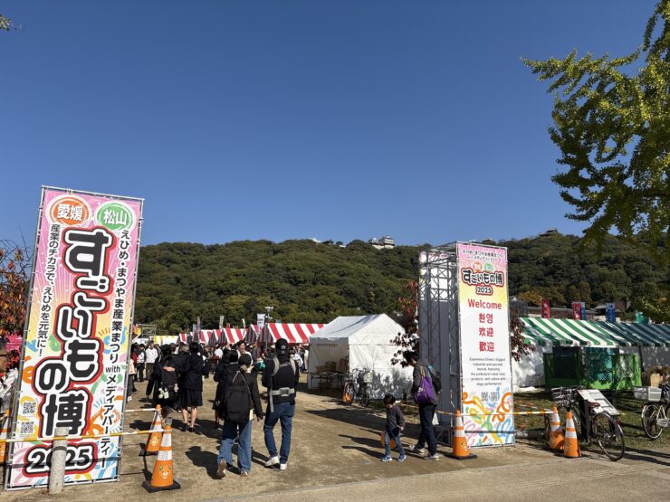 DJI_20251115_113317_045