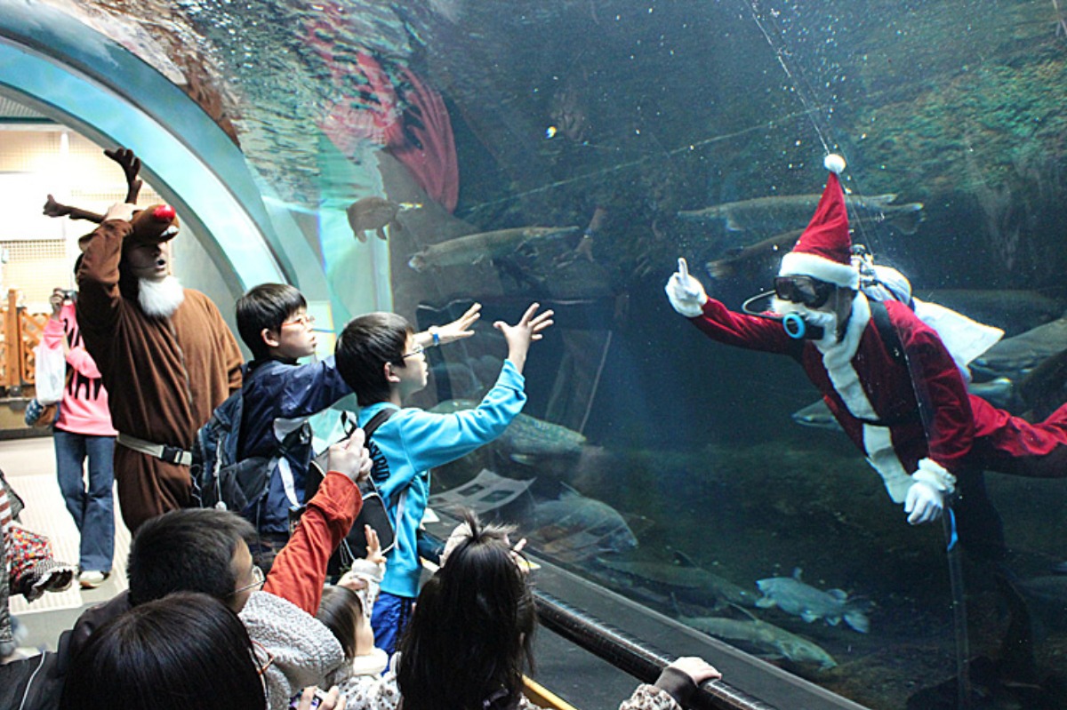 虹の森公園おさかな館クリスマスイベント ナイトアクアリウム
