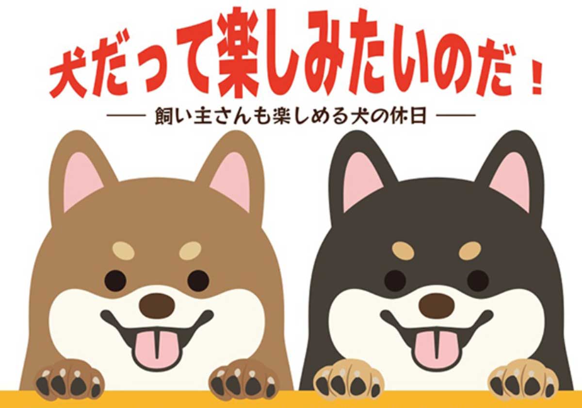 いぬまちマルシェ2025】 愛犬と一緒にいとまち芝生広場で笑顔あふれる1
