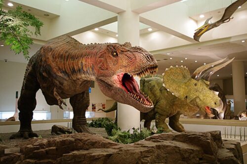 【愛媛県総合科学博物館 愛媛/新居浜市】お正月は家族そろってワクワクが止まらない！［愛媛のお正月、新春イベント2026］