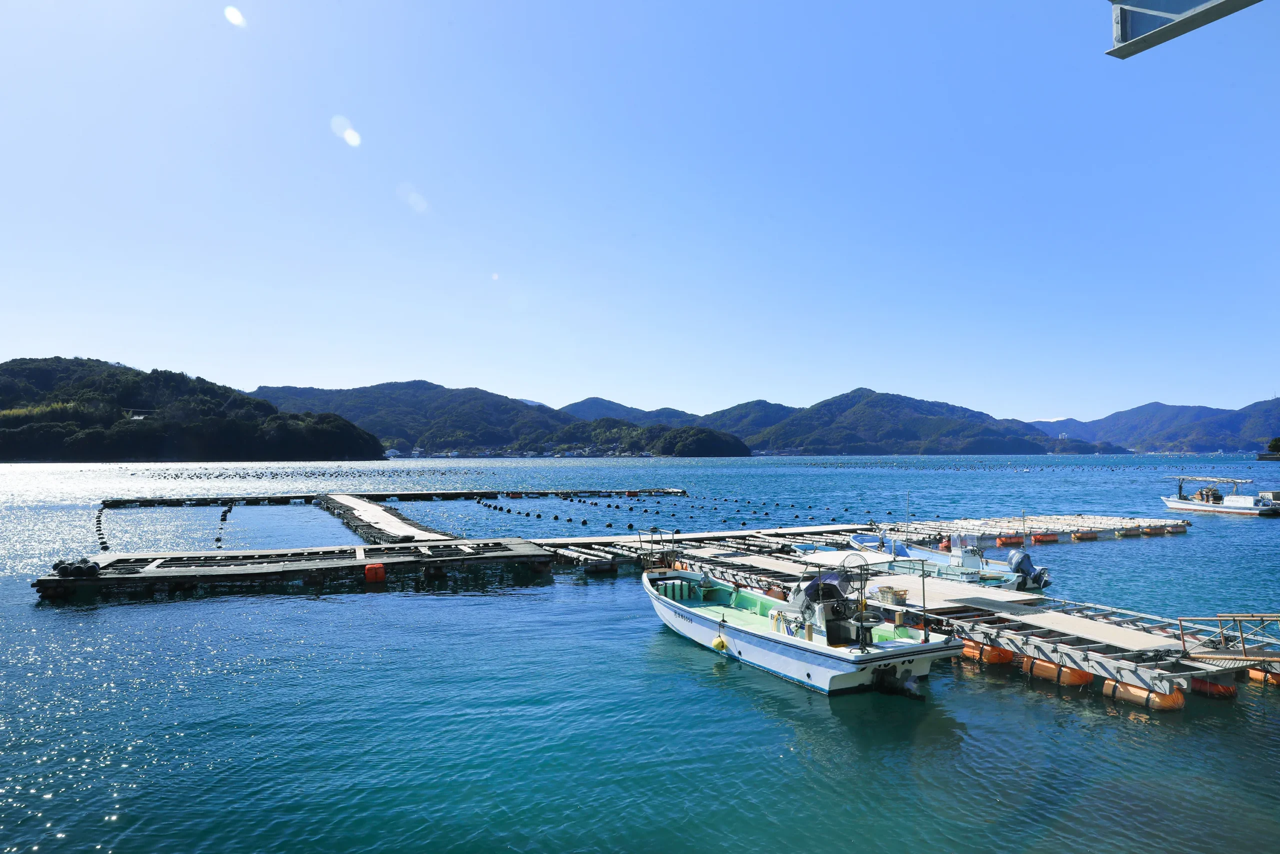 海と山の栄養が混ざり合い、牡蠣にとって理想的な「豊かな海」を生み出しています。