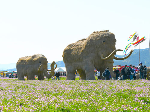 【第50回宇和れんげまつり】れんげの花とわらマンモスが彩る春の絶景！西予市で心躍る思い出を写真に残そう（愛媛/西予市）