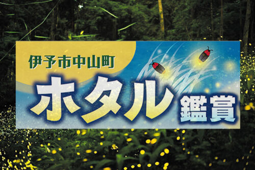 【伊予市中山町ホタル観賞】息をのむ幻想の灯りに包まれる初夏の夜（愛媛/伊予市）