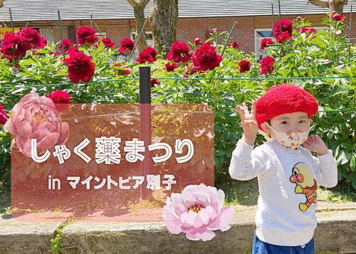 マイントピア別子で「しゃく薬まつり」を満喫してきました！（愛媛/新居浜市・おでかけレポ）