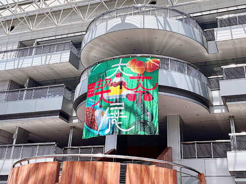 カフェ好きは大歓喜！【大喫茶展】で全国の素敵なお店を満喫してきました！（愛媛/松山市・おでかけレポ）