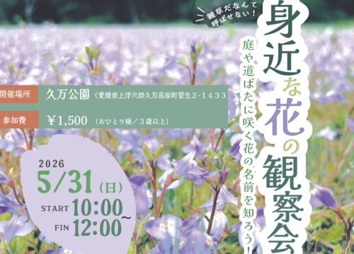 【身近な花の観察会】久万公園で身近な花の名前を知ろう（愛媛/久万高原町）