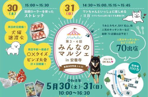 【第3・4回 みんなのマルシェ in 安養寺】新居浜市の「安養寺」で春のときめきを体感しよう（愛媛/新居浜市）