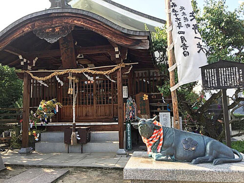 【井手神社 天神祭り】夏本番の始まりを告げる！ 松山の伝統行事で賑わう心温まる二日間（愛媛/松山市）