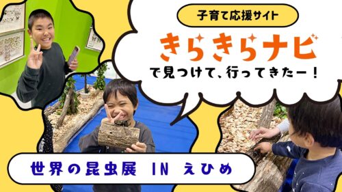 きらきらナビで見つけた！世界の昆虫にワクワク「世界の昆虫展 IN えひめ」（愛媛/松山市・おでかけレポ）