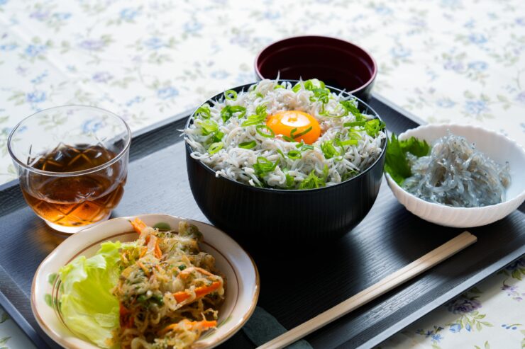 しらす漁体験&しらす丼食べ放題【昼食付き】2026