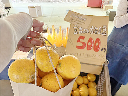 【奥南のコト】毎年恒例の宇和島のみかん産地のお祭りへ！（愛媛/宇和島市・おでかけレポ）