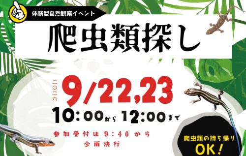 爬虫類探し 第2弾】久万高原町で生きもの探しの冒険を満喫しよう（愛媛