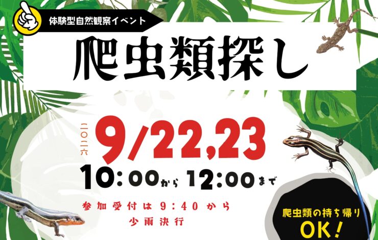 爬虫類探し 第2弾