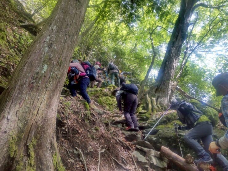 秋のチャレンジ登山