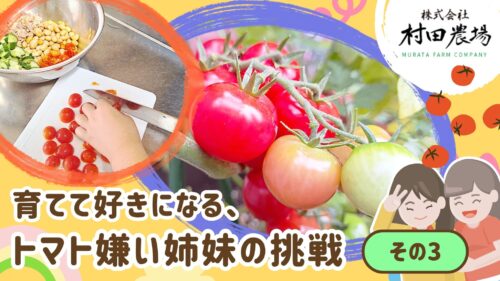 【村田農場売店】初心者でも安心！相談しながら選べる夏野菜の苗（愛媛/松山市・おでかけレポ）