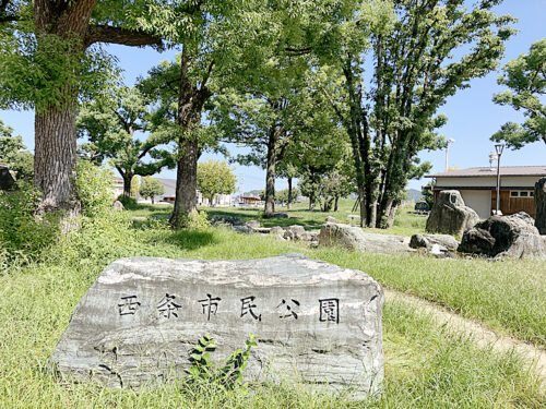 お散歩も楽しめる！ふわふわドームが人気の西条市民公園（愛媛/西条市・おでかけレポ）