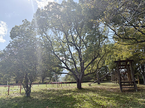 やっと行けた！自然いっぱいの「龍王公園」で思いっきり遊んできました♪（愛媛/内子町・おでかけレポ）