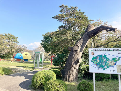 【小松中央公園】自然の中でアスレチックを楽しめる（愛媛/西条市・おでかけレポ）
