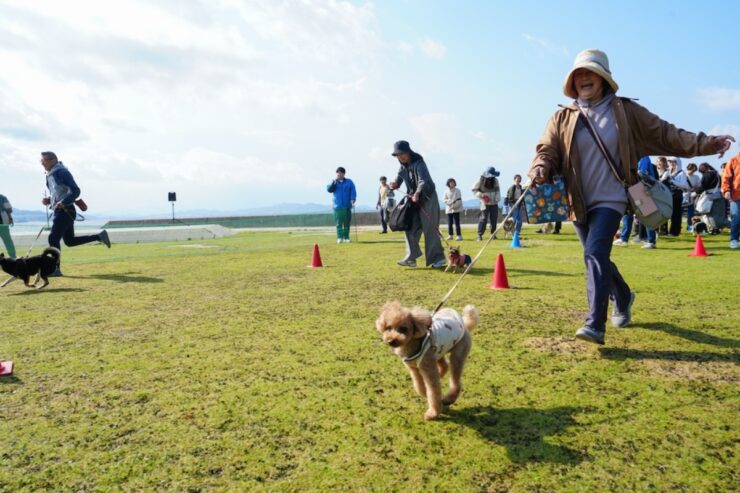 犬鹿島 2026